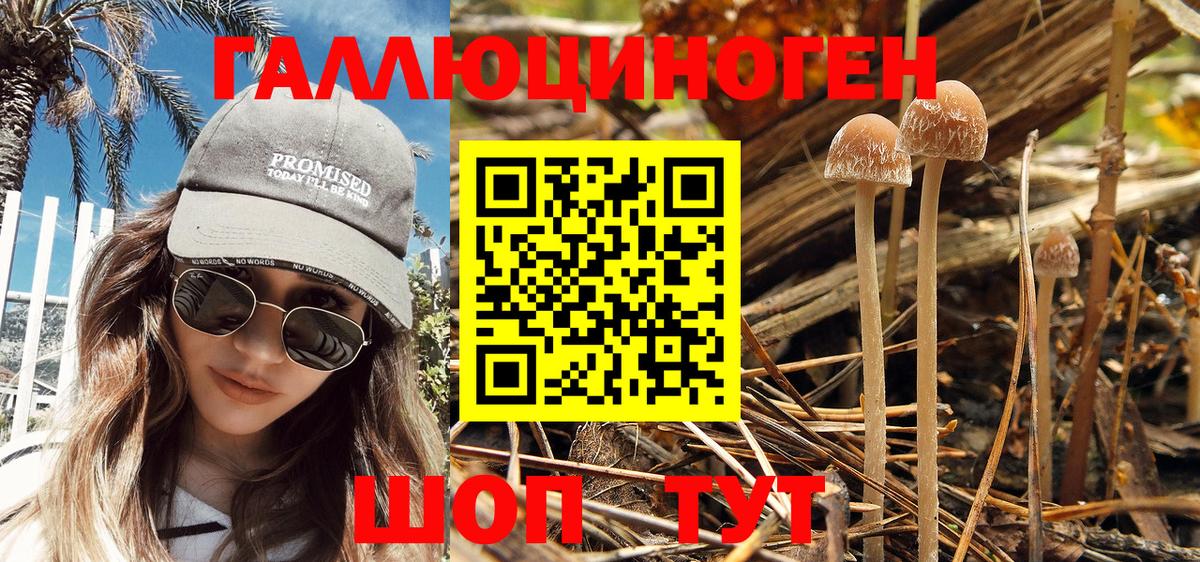 Галлюциногенные грибы MAGIC MUSHROOMS  Вход с VPN  Псилоцибиновые грибы Cubensis  Керчь 